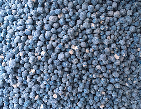 Blaukorn