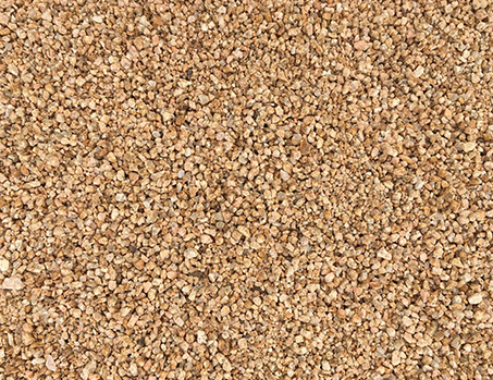 Ojo de perdiz de sta coloma
