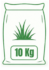 10 Kg
