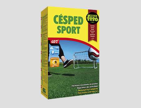 Sport